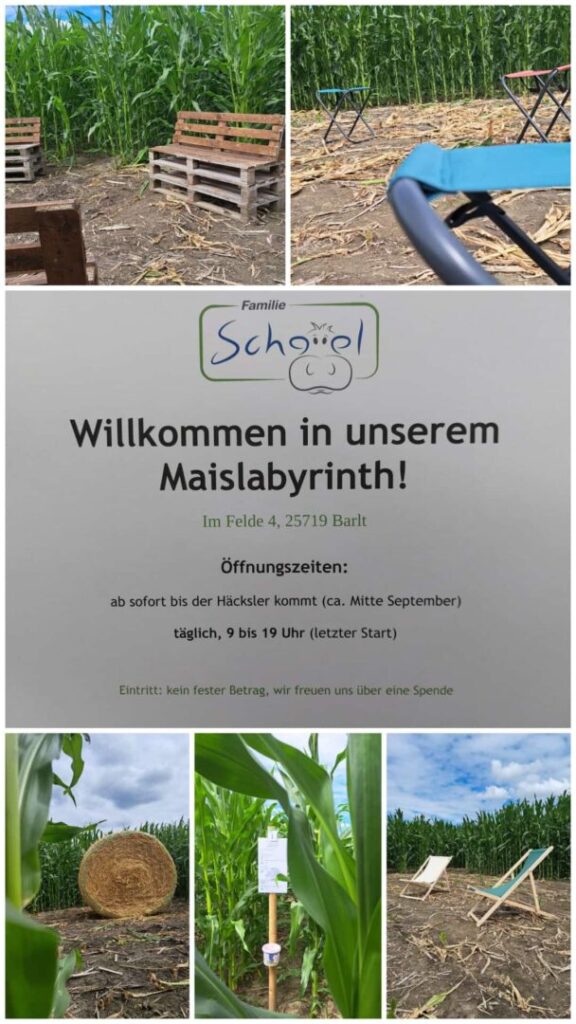 foto von Maislabyrinth